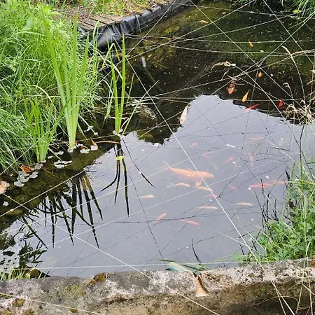 Nuit Insolite, Repas Autour Du Feu Piscine Sauna Jaccuzi Luxusní stan