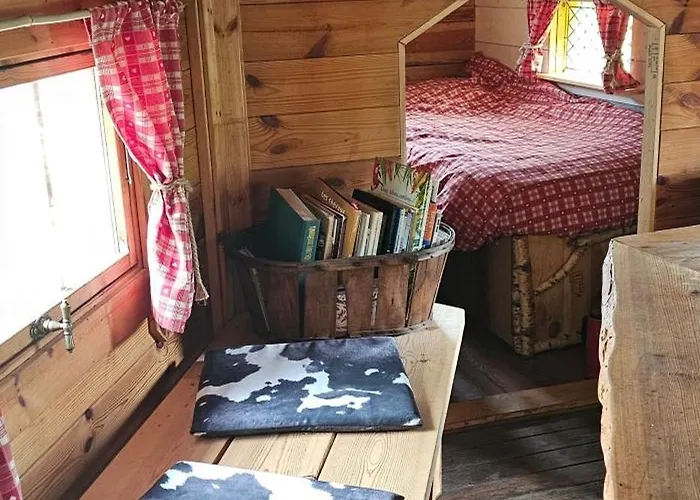 Nuit Insolite, Repas Autour Du Feu Piscine Sauna Jaccuzi * Azerailles