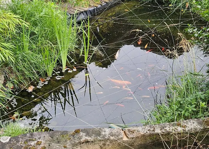 Nuit Insolite, Repas Autour Du Feu Piscine Sauna Jaccuzi Роскошный шатер