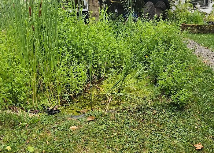 Nuit Insolite, Repas Autour Du Feu Piscine Sauna Jaccuzi Роскошный шатер